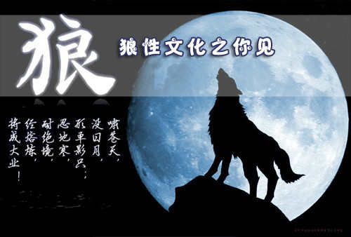 狼的经典格言股民非常受用